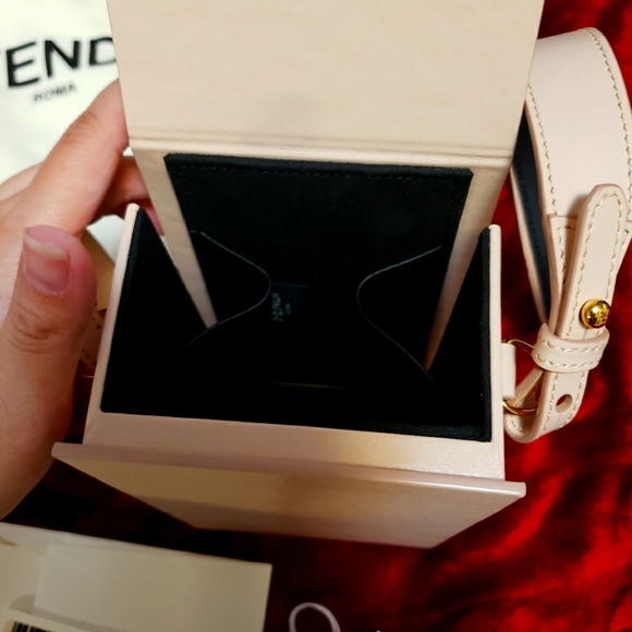 FENDI Bag Runway 2020-2021 Spring collection - vertical leather pink box bag - Picture 7 of 16